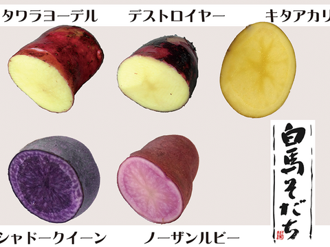 お試し 新じゃがいも 食べ比べセット 5種 計4kg 長野県産 食べチョク 農家 漁師の産直ネット通販 旬の食材を生産者直送 お試し 新じゃがいも 食べ比べセット 5種 計4kg 長野県産 食べチョク 農家 漁師の産直ネット通販 旬の食材を生産者直送