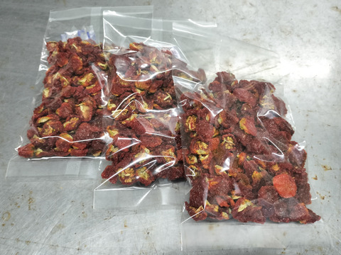 豊作御礼！　希少な固定種ミニトマトのドライトマト　農薬化学肥料不使用（300g）