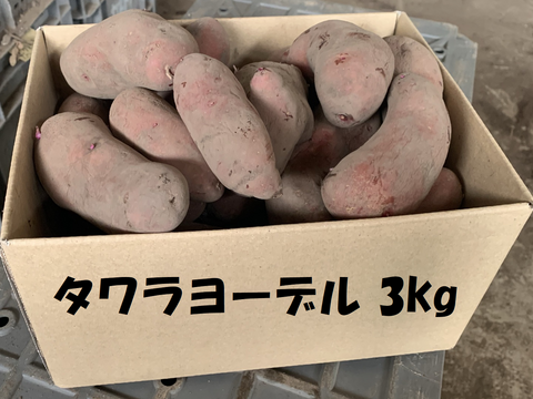 【長野県産】じゃがいも食べ比べセット 約9kg（男爵・メークイーン・タワラヨーデル）