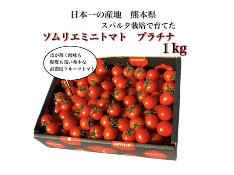 【希少な高濃度フルーツトマト】ソムリエミニトマト　プラチナ２kg（９０玉～１５０玉）
