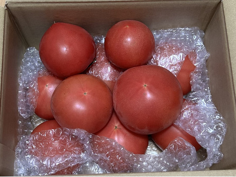 採れたて直送☆嘉麻市産☆桃太郎トマト１．５ｋｇ