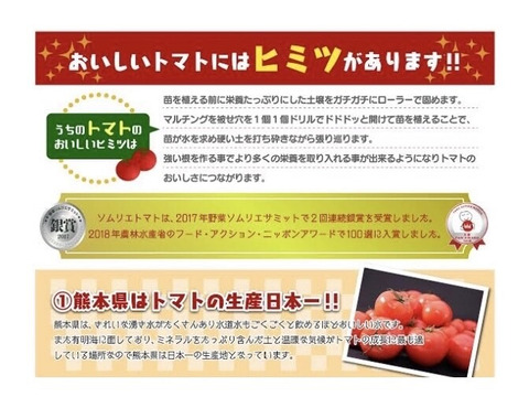 【特別栽培農産物の取得】ソムリエミニトマト　プラチナ８ｋｇ