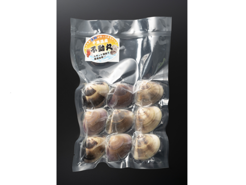 【凍眠凍結】‼️BBQでも手間いらず(^^)b
グリルでホイル焼きも旨〜い♪
-30℃リキッド凍結蛤
《千葉ブランド水産物認定品》
九十九里産生蛤500g/8〜11個