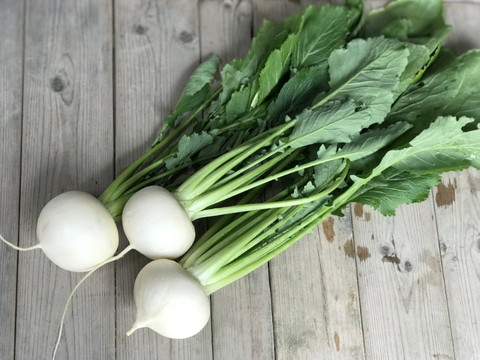 京の冬野菜セット【漢方栽培】