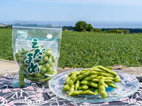 春の国産『生』枝豆は沖縄の気候ならでは！濃厚であまい枝豆を是非。【180g×2袋】