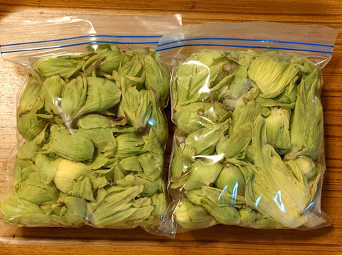 【山形県庄内産】ふきのとう（400g）天然・ばんけ - 山形県酒田市八幡地域の里山・大沢産