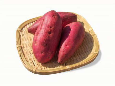 予約販売限定価格！蜜のように甘い【新芋】横浜産 自然栽培 安納芋 5kg（S〜Lサイズ混合）【9.10月配送】