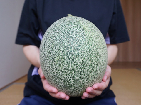 美味しい！タカミメロン2玉