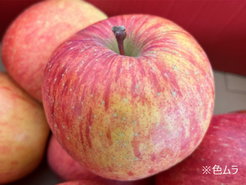 【訳あり】【欲ばり！旬りんご2種詰合せセット】（2kg・6～9個入り）パリパリ・ジューシー超お得な家庭用