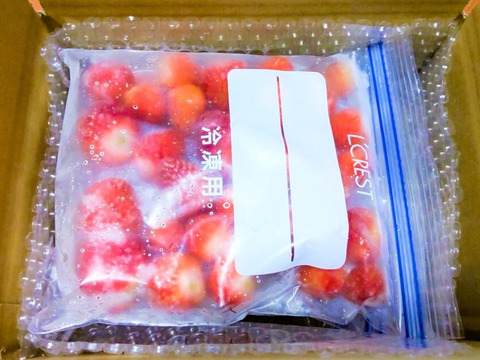 【冷凍いちご】品種：よつぼし (2.4kg)