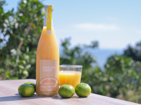 【佐賀県投稿キャンペーン対象商品】ごくごく飲んでみらんね!!みかんジュース3本セット（720ml×3）