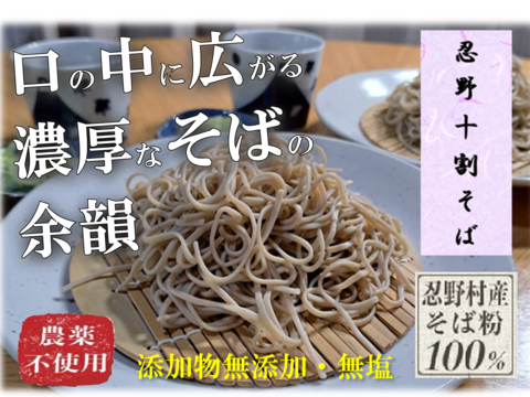 生冷凍麺　富士　忍野十割そば　生冷凍麺260g (130g×2) ×1袋　 農薬不使用•無添加　石臼挽き★純国産★ 忍野村産そば粉のみ使用・国内製造（長野県）無塩・グルテンフリー★ 発送　産直宅急便★