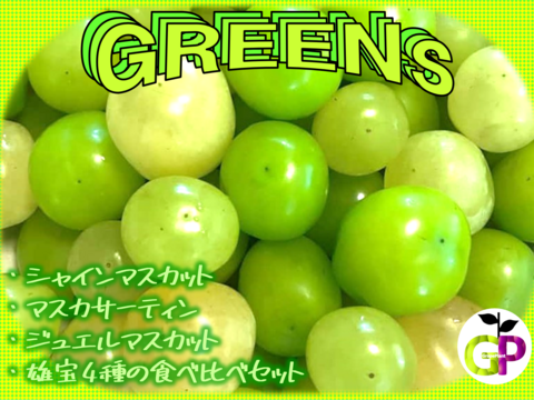 朝採り新鮮！！ブドウの食べ比べ『GREENS　グリーンズ』500g×1P