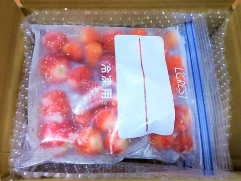 【PriceDown 冷凍いちご】品種：よつぼし (2.4kg)
