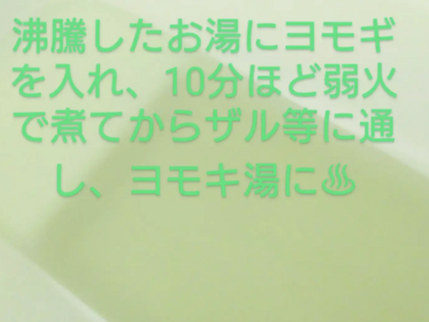 よもぎ生葉🌿90本（90苗）以上🌿上から15cmの柔らかいヨモギ🌿和ハーブ🌿ヨモギ☆蓬☆畑横の人が通らない林の蓬🌿🏣ゆうパック