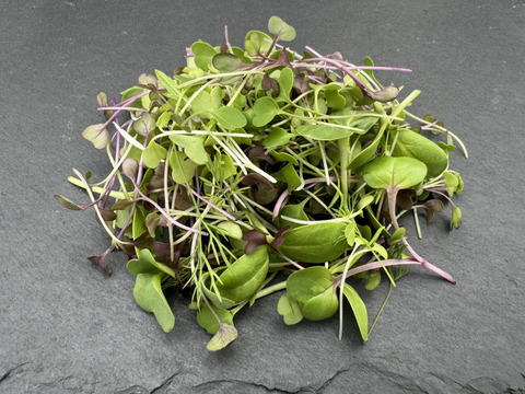 マイクロリーフmix(マイクロハーブ)300g