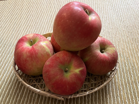 【夏あかり５ｋｇ】甘くて硬い味の濃い、日保ちする夏りんご。皮ごと食べられ、キャンプや夏山登山のおやつに最適！