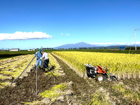 【 玄米・５kg 】天日干し自然栽培米 ササシグレ