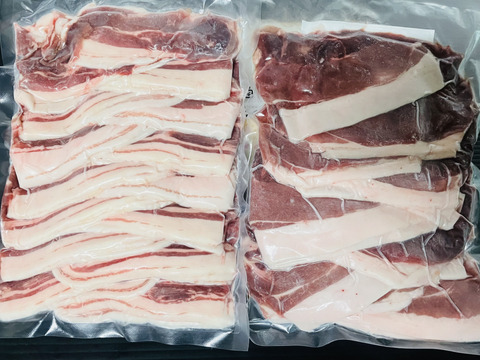 家族での鍋料理に！猪肉ファミリースライスセット1200g（モモ・バラ各600g）長崎県産天然イノシシ肉