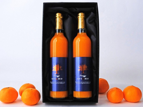 【母の日ギフト】 プレミアムみかんジュースギフトセット 500ml×2本