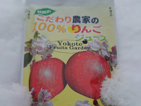 美味しさと栄養がギュッと詰まった『ふじりんごジュース』！180ml×40パック