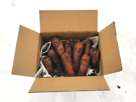 【サイズふぞろい・土付き】雪下ニンジン 2kg【農薬化学肥料不使用】