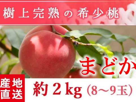 これぞ福島の桃！硬めで強い甘さと香りの完熟まどか　2ｋｇ（8～9玉）