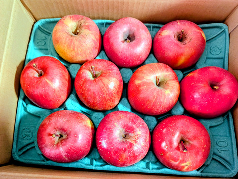 終わります🍎りんごグランプリ2025最高金賞1位🎊サンふじ 3キロ箱 家庭用  6玉〜15玉サイズ 傷あり  ID80274 安曇野 リンゴ 幻 幻のリンゴ 希少  甘い