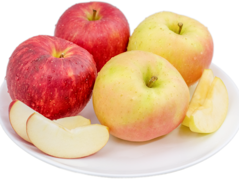 りんご　出品 完売】りんごおまかせ詰め合わせ 家庭用 4.5kg (12～24個)：青森県産の