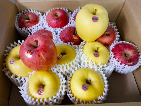 【岩手・紫波町】🍎🍏特別栽培「サンふじ」「はるか」の詰め合わせ（家庭用5kg・14玉）　これで最後です！