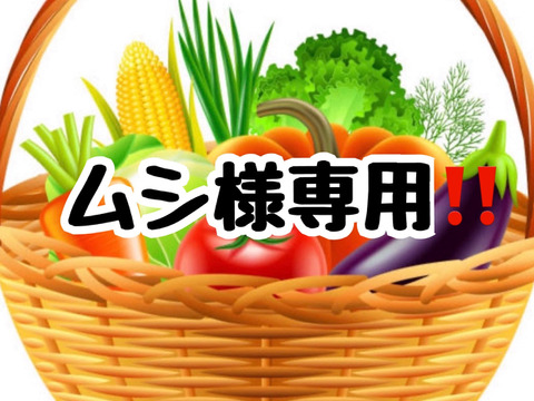 【ムシ様専用】野菜セット
