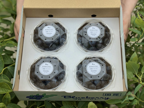 甘くてジューシー　超大粒ブルーベリー　ユーリカ※農薬不使用（100g×4パック）