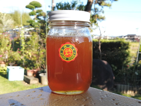 生きた蜂蜜！非加熱＆無添加の日本ミツバチ「熟成発酵蜜」５００ｇ