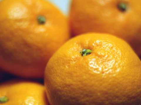 さっぱりとした甘みと酸味！果汁たっぷり『高林早生 みかん』3kg サイズ混合 たかばやし 3キロ