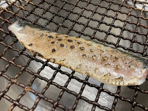 【イワシ大漁祭り】マイワシ/中羽サイズ80g前後/2.5kg【脂あり】【2/17水揚げ/発送】