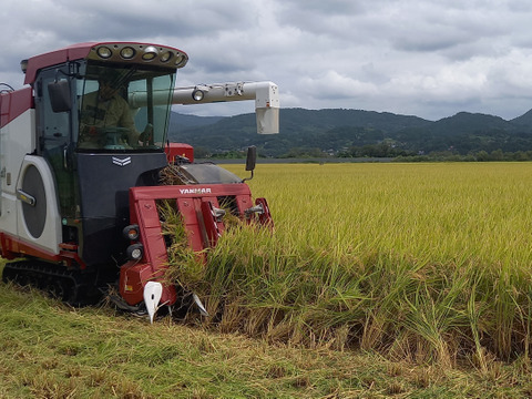 良食味 低農薬栽培米ササニシキ5㎏