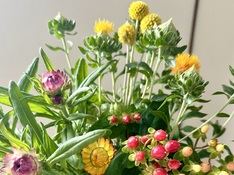 【長持ちシリーズ 〜暮らしを長く彩る花たち〜！20本】人気あり！花農家から直送！“長く寄り添う花束”です。生花として楽しんだ後は、そのままドライフラワーとしてもお楽しみいただけます。プレゼントOK!