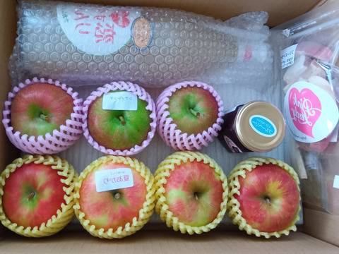 残り20ケース🍎【福袋2025】旬のりんご🍎&農園特製加工品セット 高評価コメント100件越え福袋🍎復活しました🎊 商品ID44733 りんご ジャム ジュース りんごジュース フリーズドライ