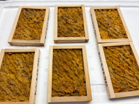 【入手困難】由良の黒ウニ/淡路島/本州ウニの最高峰【並】【4/13~4/14発送】