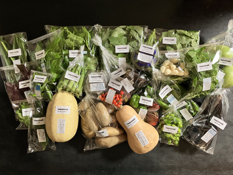 【旬を楽しむ♪】おまかせお野菜セットB（約15品以上）通年お野菜を作り続けるタガタメはいつでも注文可能！！