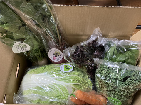 【淡路島産】冬ギフト_旬の冬野菜セット！ 6~7種詰め合わせ