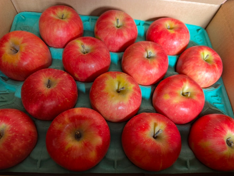 満点青空レストランで話題です🍎【りんごの概念変わります】奥州ロマン 3キロ箱 6玉〜15玉サイズ　長野県 信州 安曇野 リンゴ 幻  希少 旬 甘い 幻の林檎  ID52109