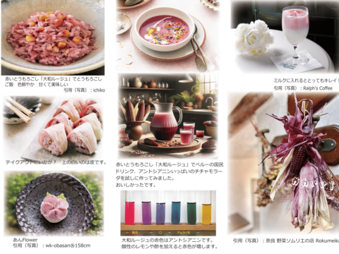 【夏ギフト】赤い トウモロコシ  6本入り　(大和ルージュ　赤 スイートコーン ) 農家 直売 岡山 ひるぜん農園 参考レシピ冊子付き AKA_6