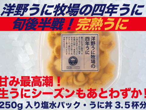 洋野うに牧場の四年うに 塩水パック 大容量250g 1パック 岩手県産 食べチョク 農家 漁師の産直ネット通販 旬の食材を生産者直送 洋野うに牧場の四年うに 塩水パック 大容量250g 1パック 岩手県産 食べチョク 農家 漁師の産直ネット通販 旬の食材を生産者直送