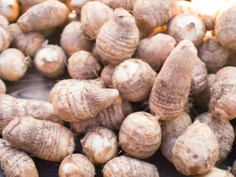 【手間いらず】整い蒸し野菜セット（7~8品目+季節の塩お試しサイズ付き）