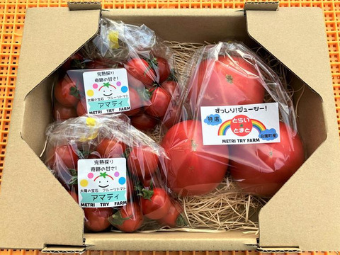 【ギフト対応可】食べ比べ！アマティ・とらいとまとセット　250g×2　500g×1