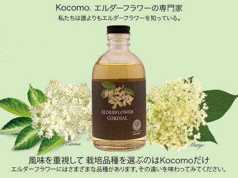 🌱自然の恵みを贈る特別なプレゼント！エルダーフラワーコーディアル340g&ジンジャーペアコーディアル（生姜茶）210g