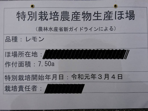 【クール便】農薬・防腐剤・ワックス不使用 ！酸っぱいだけじゃない！甘みも感じる貯蔵レモン6キロ