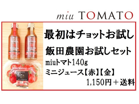 【飯田農園】お得なお試しセット
