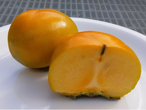【訳あり】種なし柿(2.5kg)➕極早生みかん(2kg)4.5kgセット